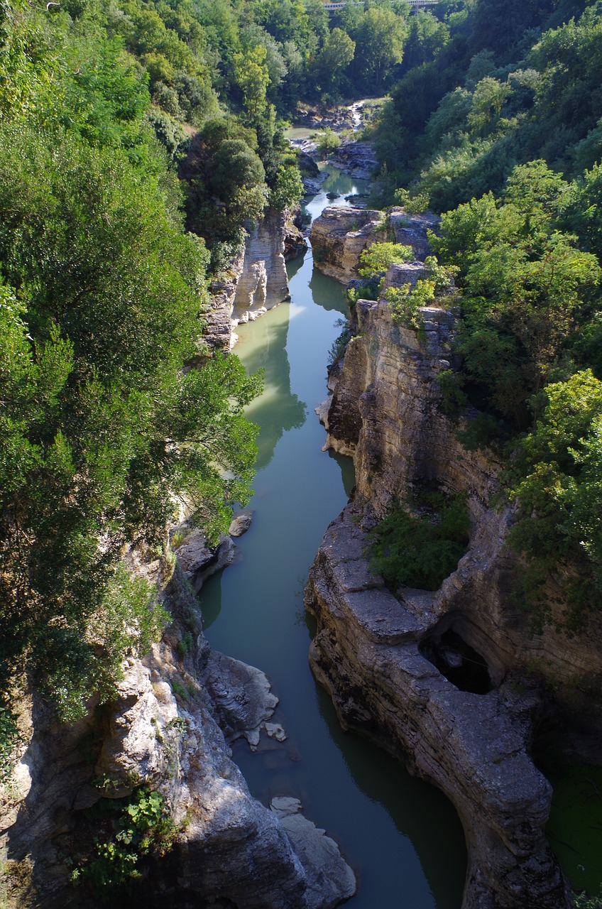 waters river nature free photo