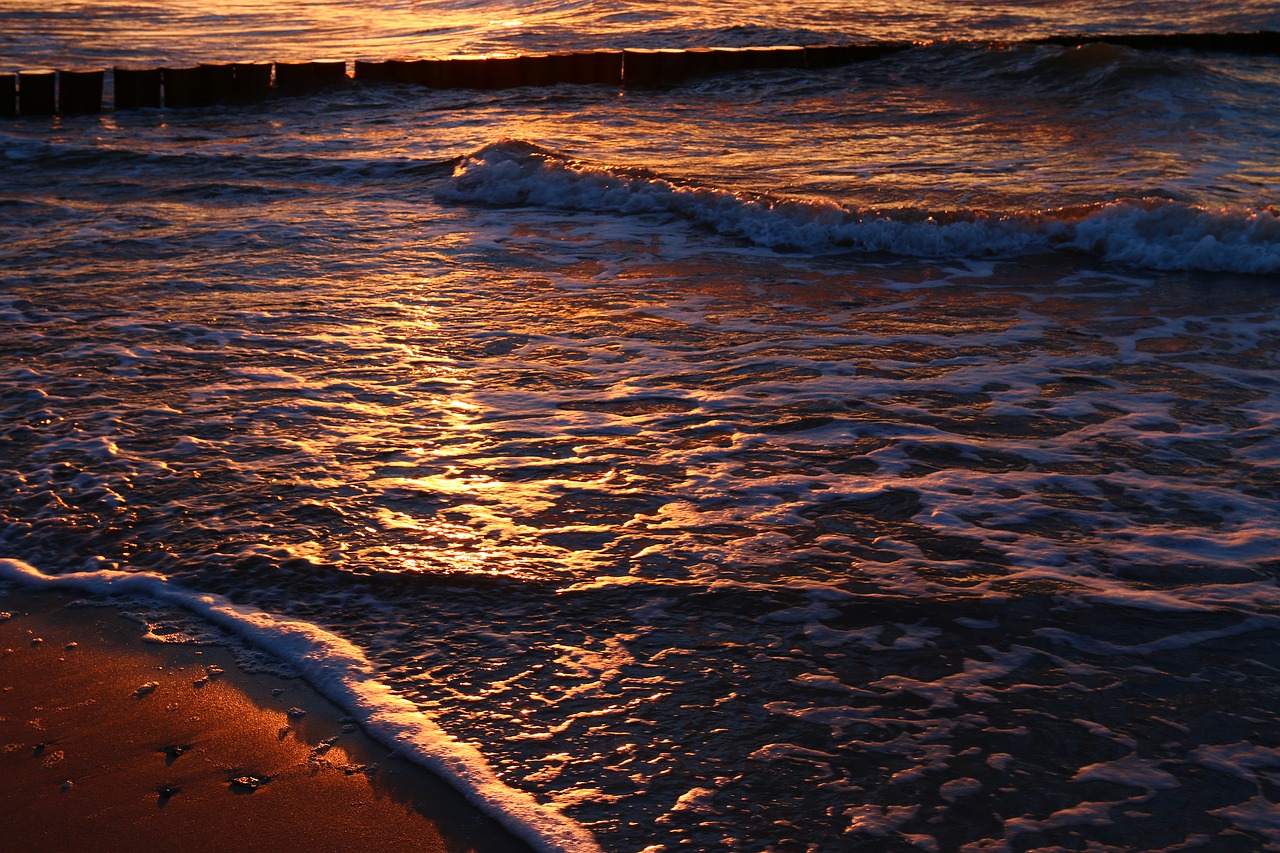 waters sunset ocean free photo