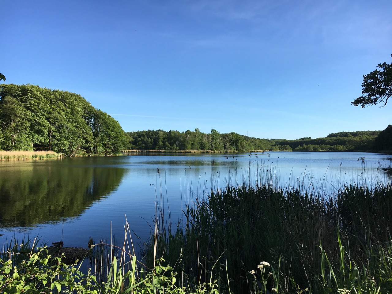 waters nature reflection free photo