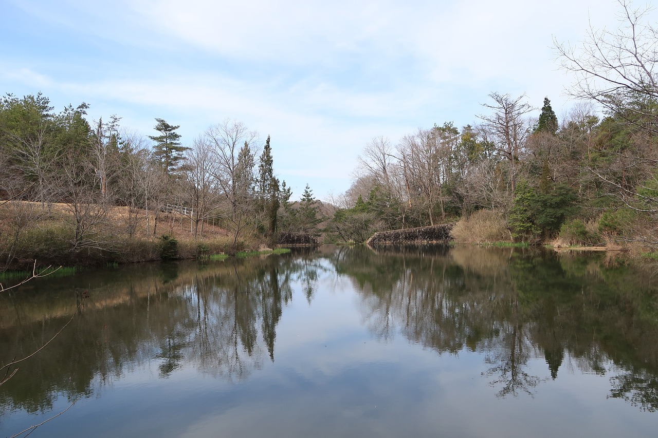 waters natural reflection free photo