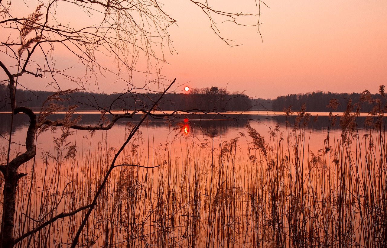 waters nature dawn free photo