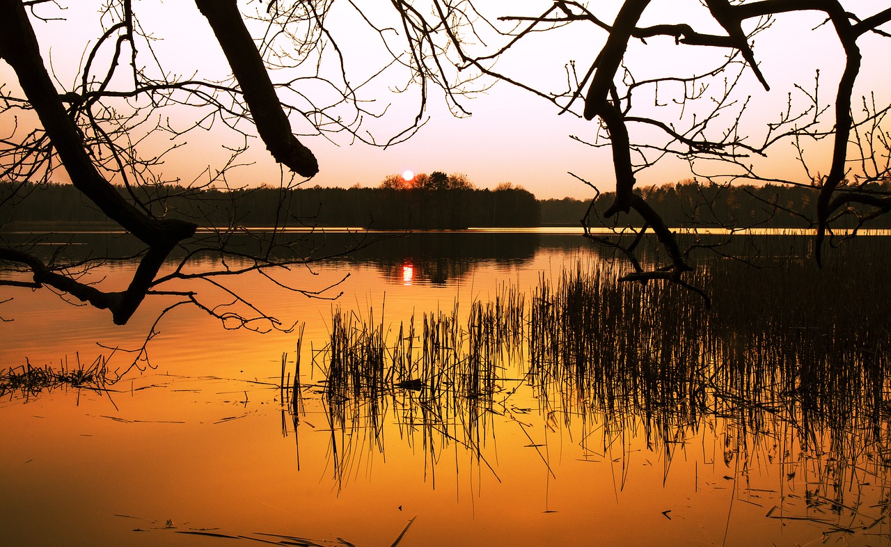 waters reflection dawn free photo