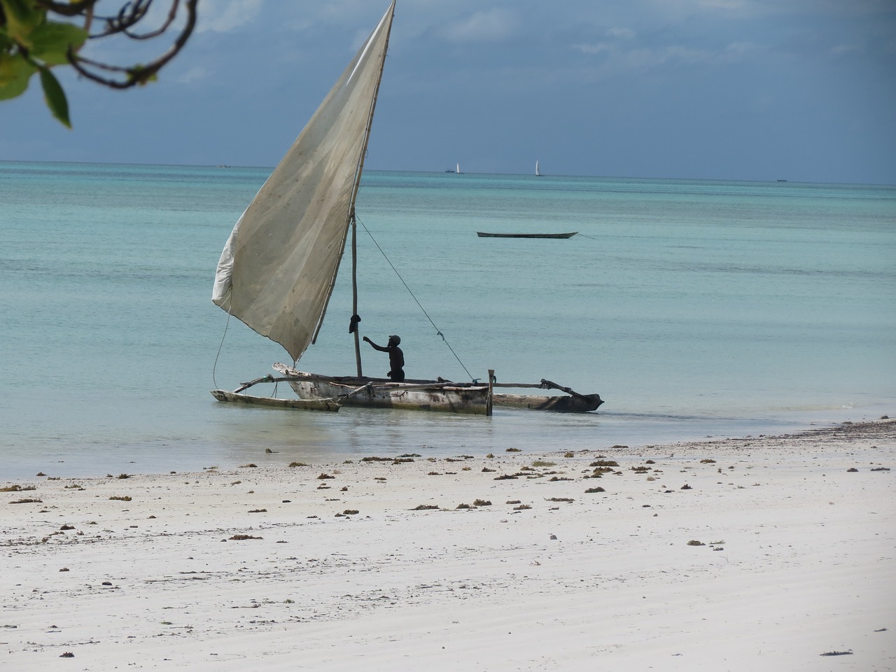 waters sea ocean free photo