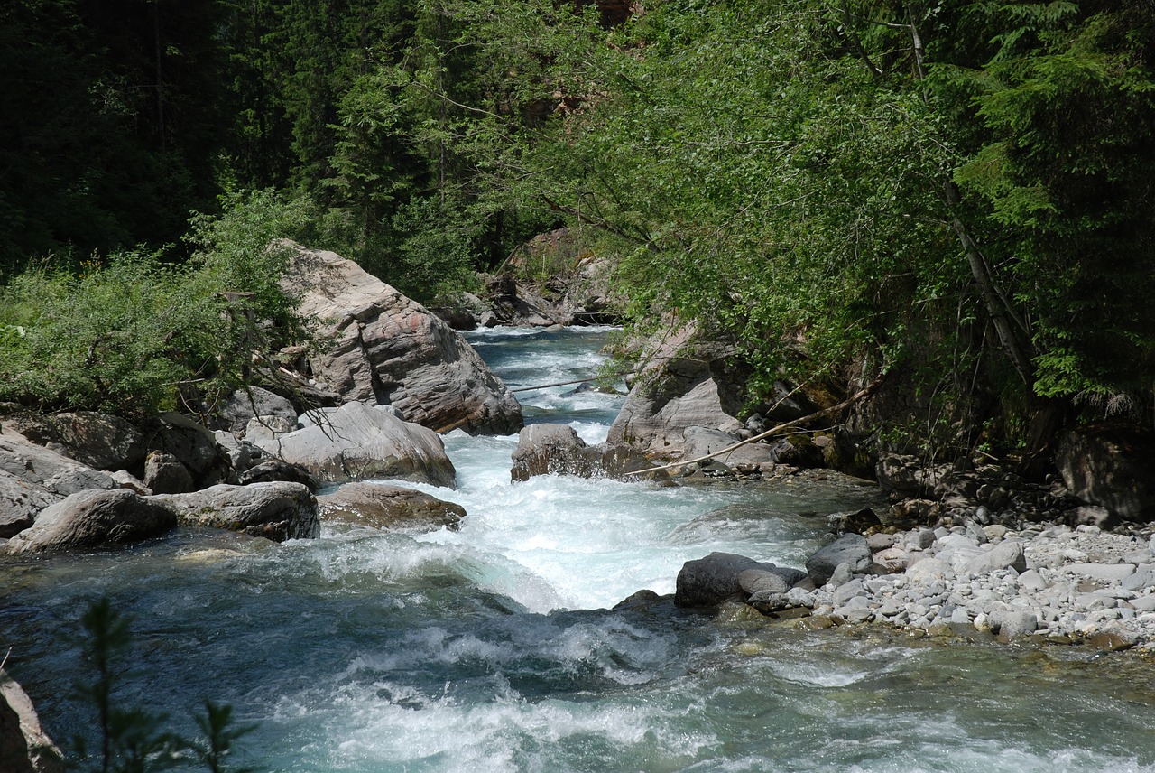 waters nature river free photo