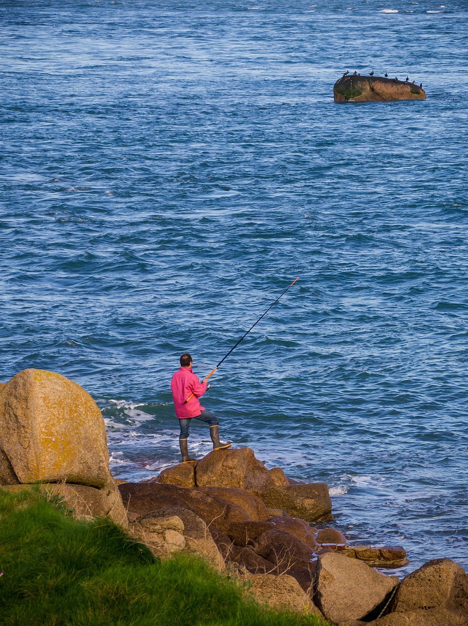 waters sea coast free photo