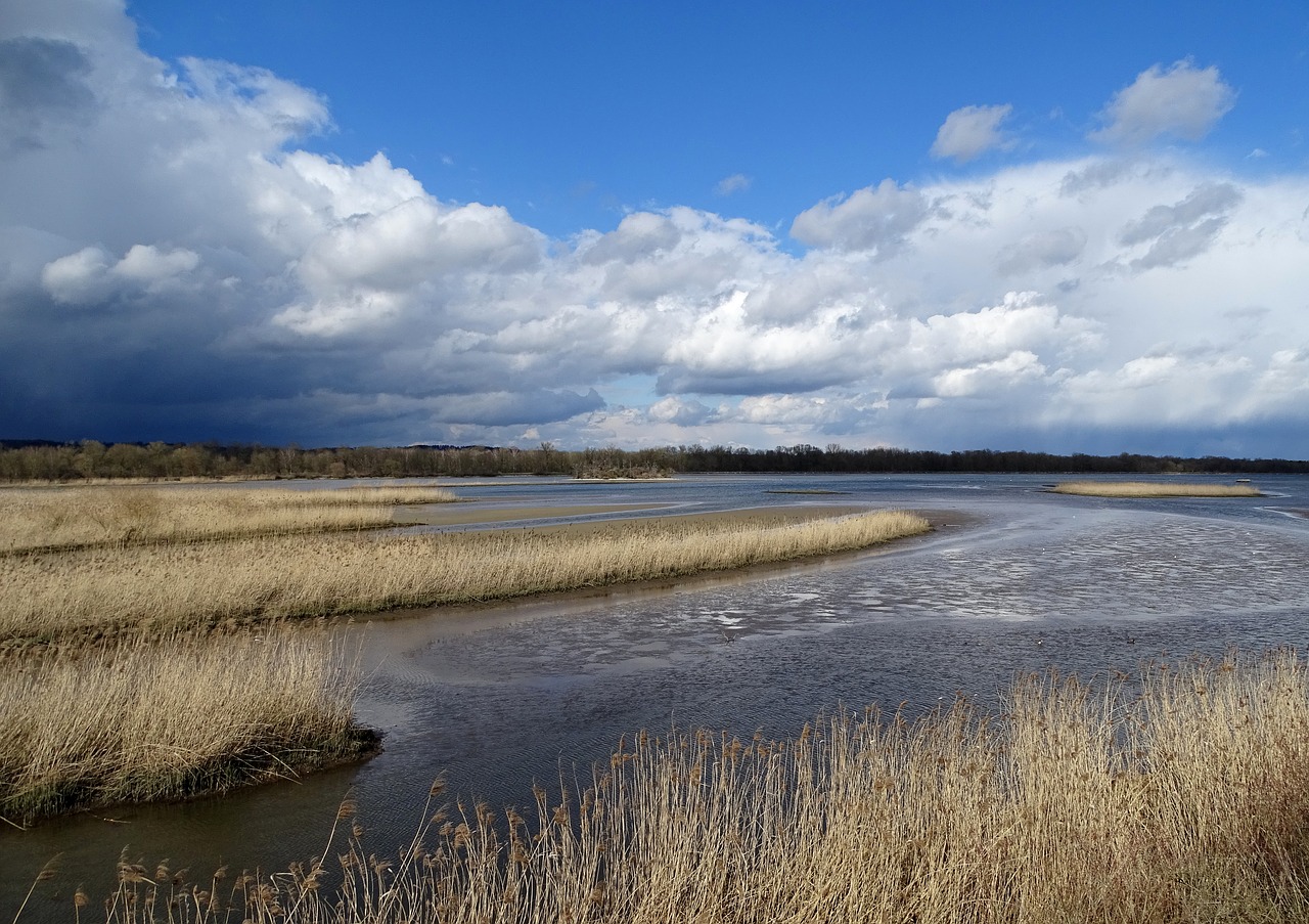 waters nature sky free photo