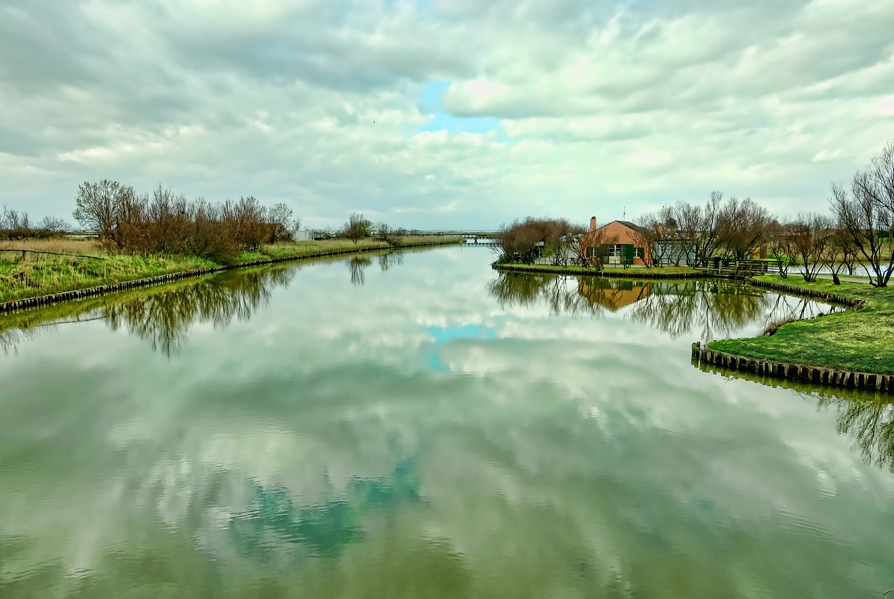 waters nature reflection free photo