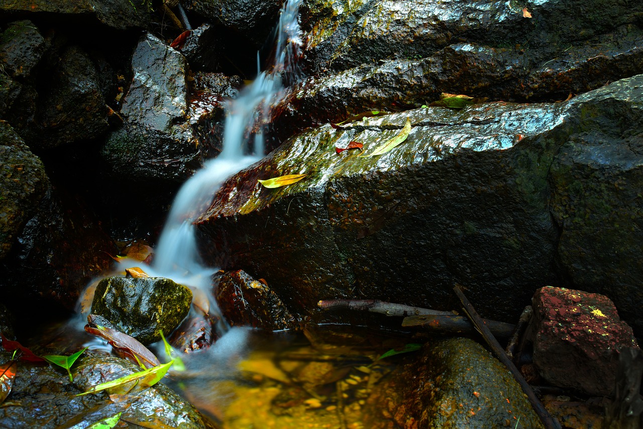 waters nature falls free photo