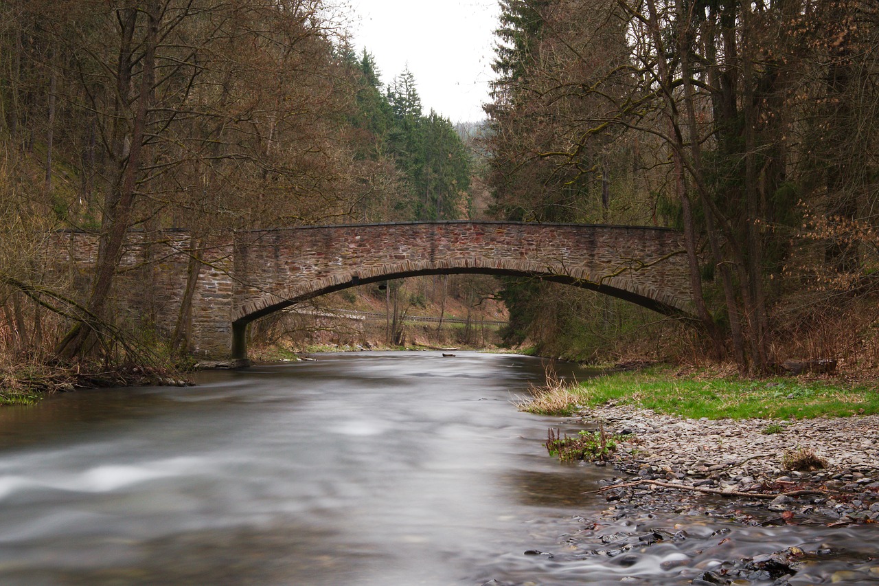 waters nature river free photo