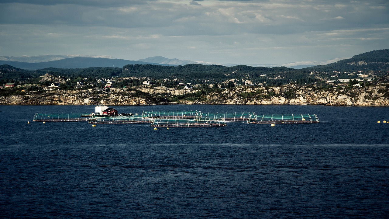 waters sea panorama free photo