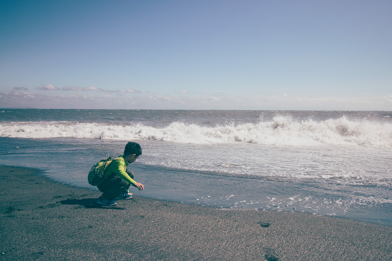 waters sea beach free photo