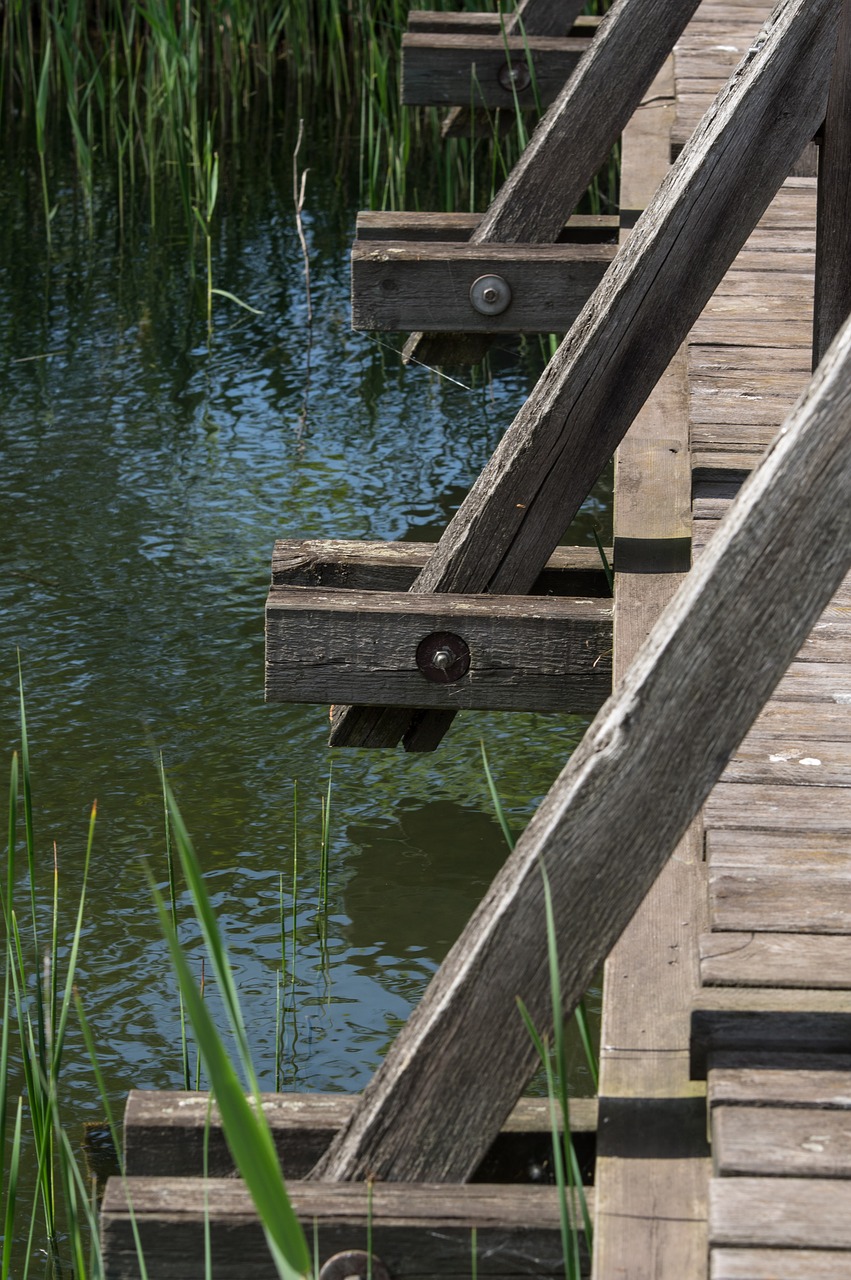 waters wood bridge free photo