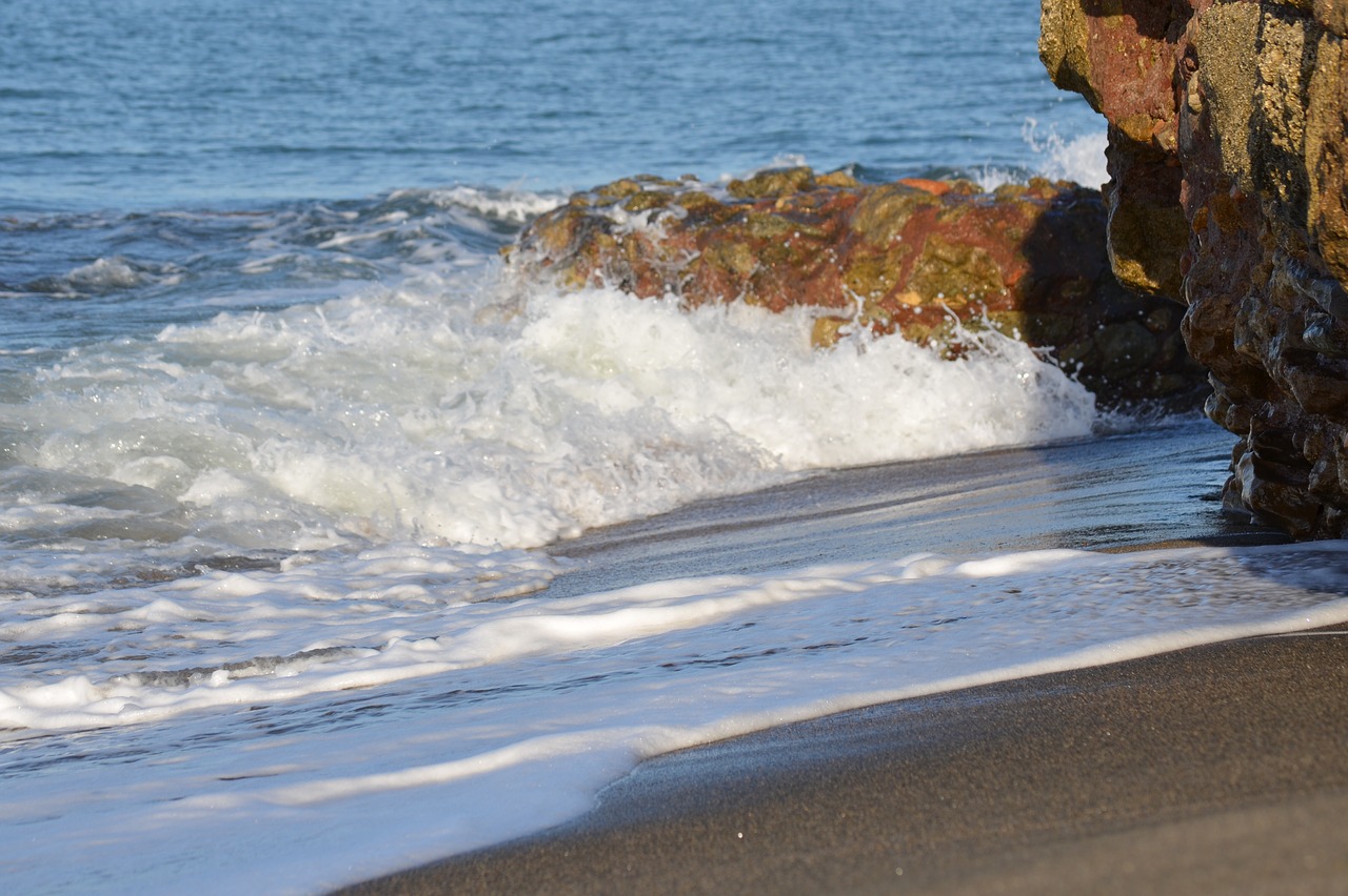 waters  sea  ocean free photo