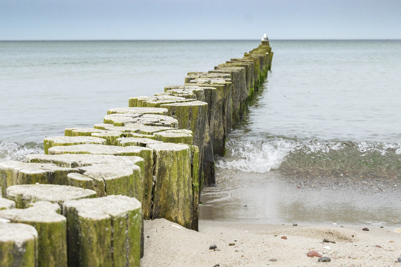 waters  sea  beach free photo