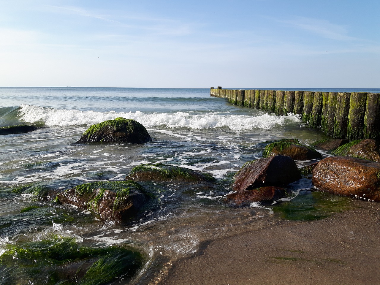 waters  coast  sea free photo