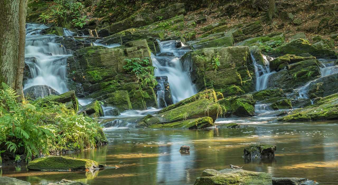 waters  nature  waterfall free photo