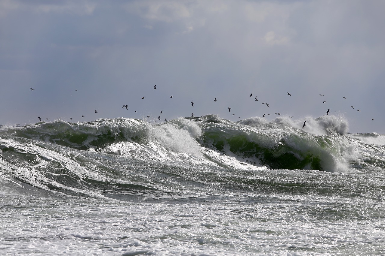 waters  sea  ocean free photo