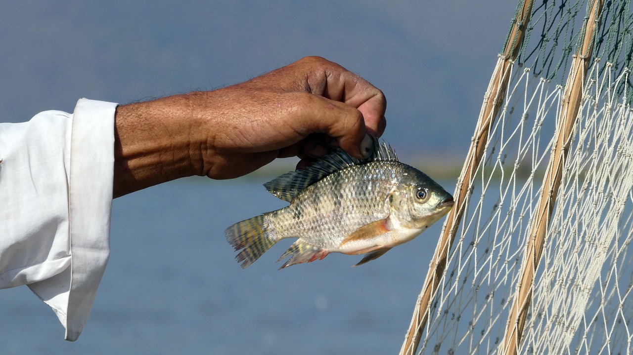 waters  sky  fisherman free photo