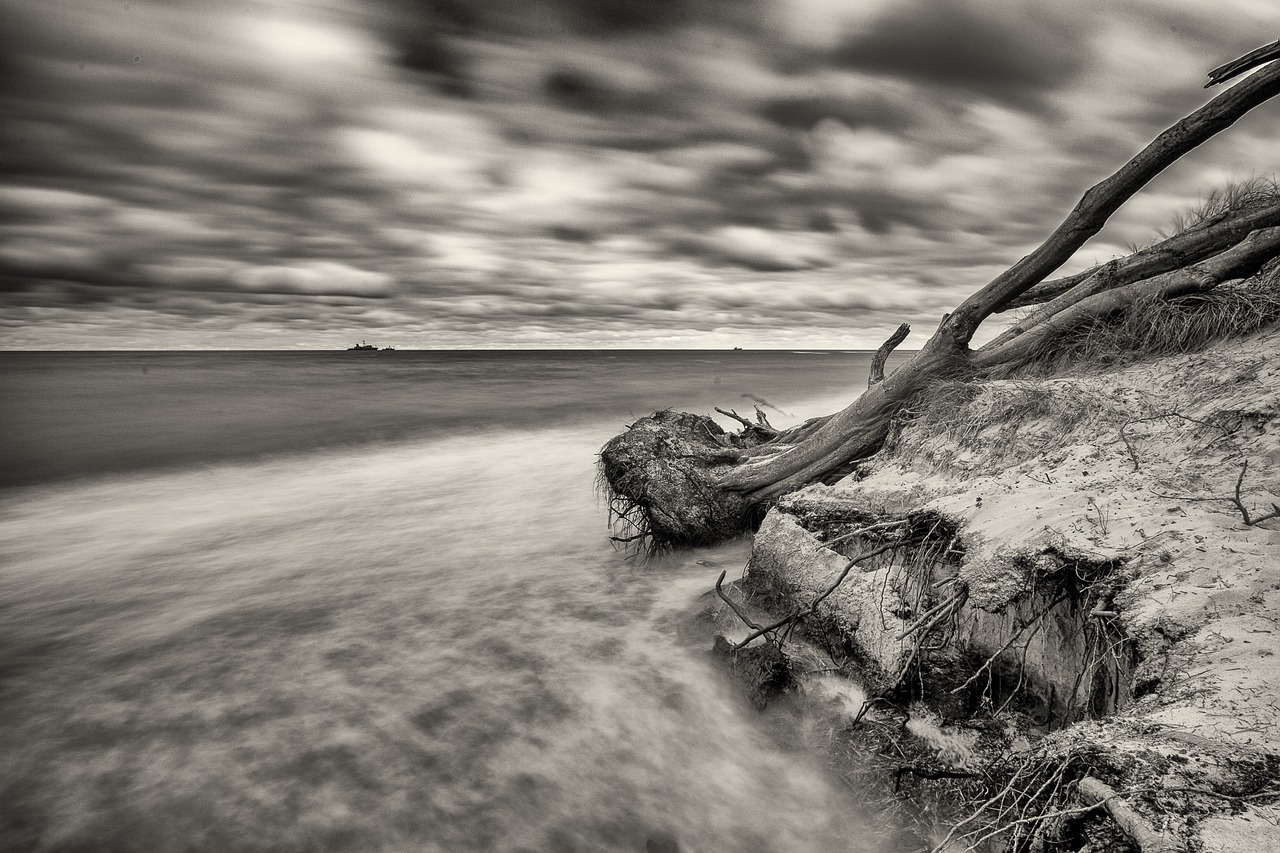 waters  coast  beach free photo