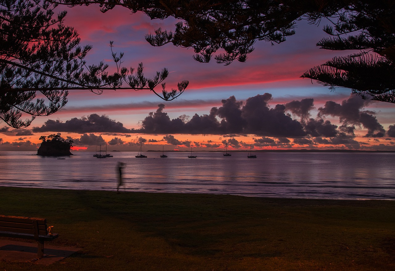 waters  sunset  evening free photo