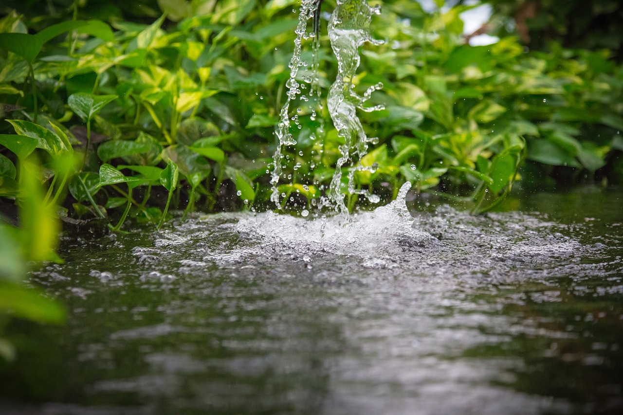 waters  nature  wet free photo