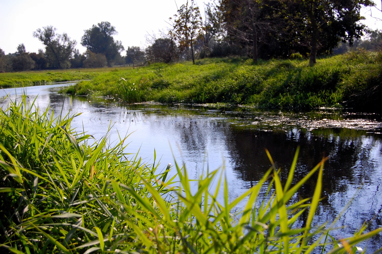 waters  nature  river free photo