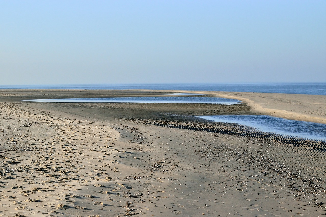 waters  sand  nature free photo