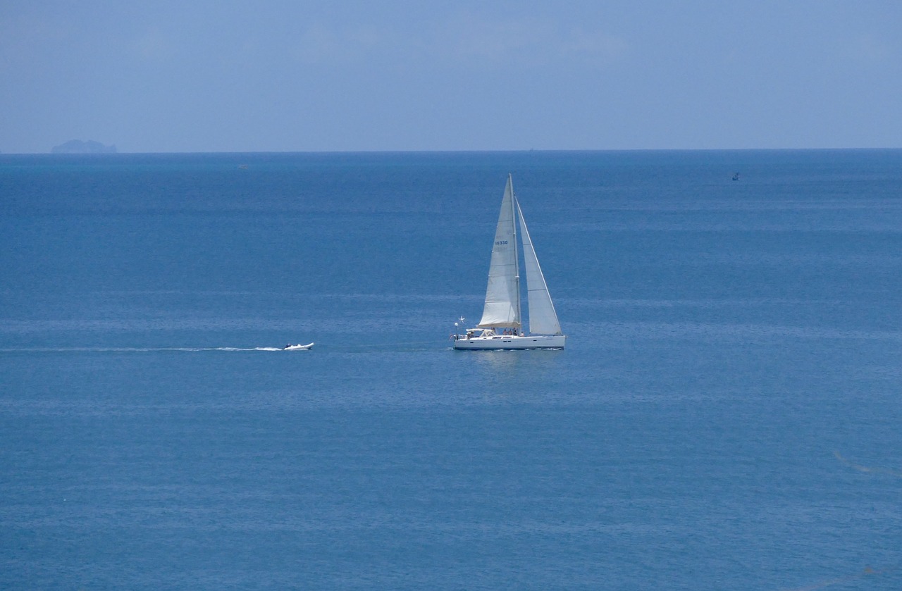 waters  sea  sailing boat free photo