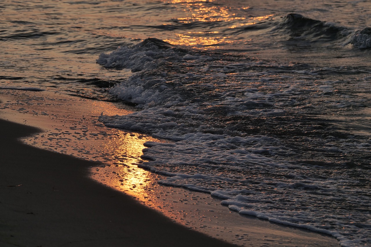 waters  beach  sunset free photo