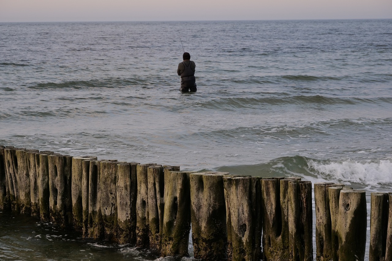 waters  sea  beach free photo