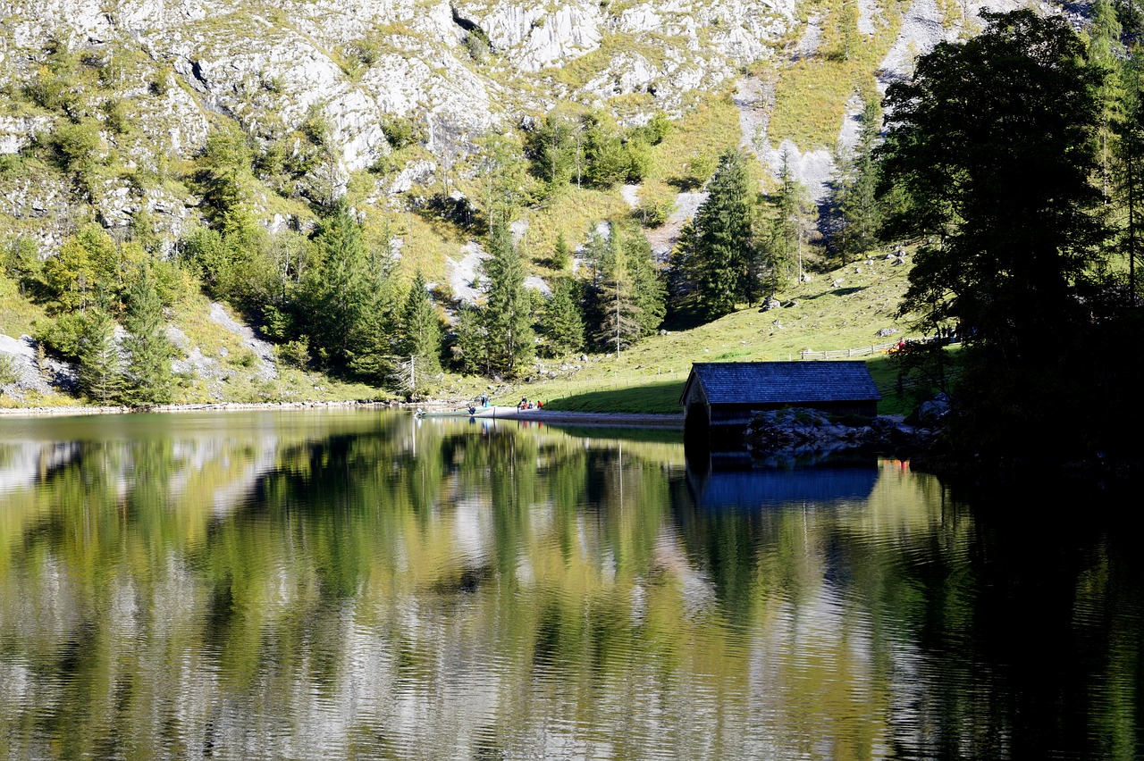 waters  nature  reflection free photo