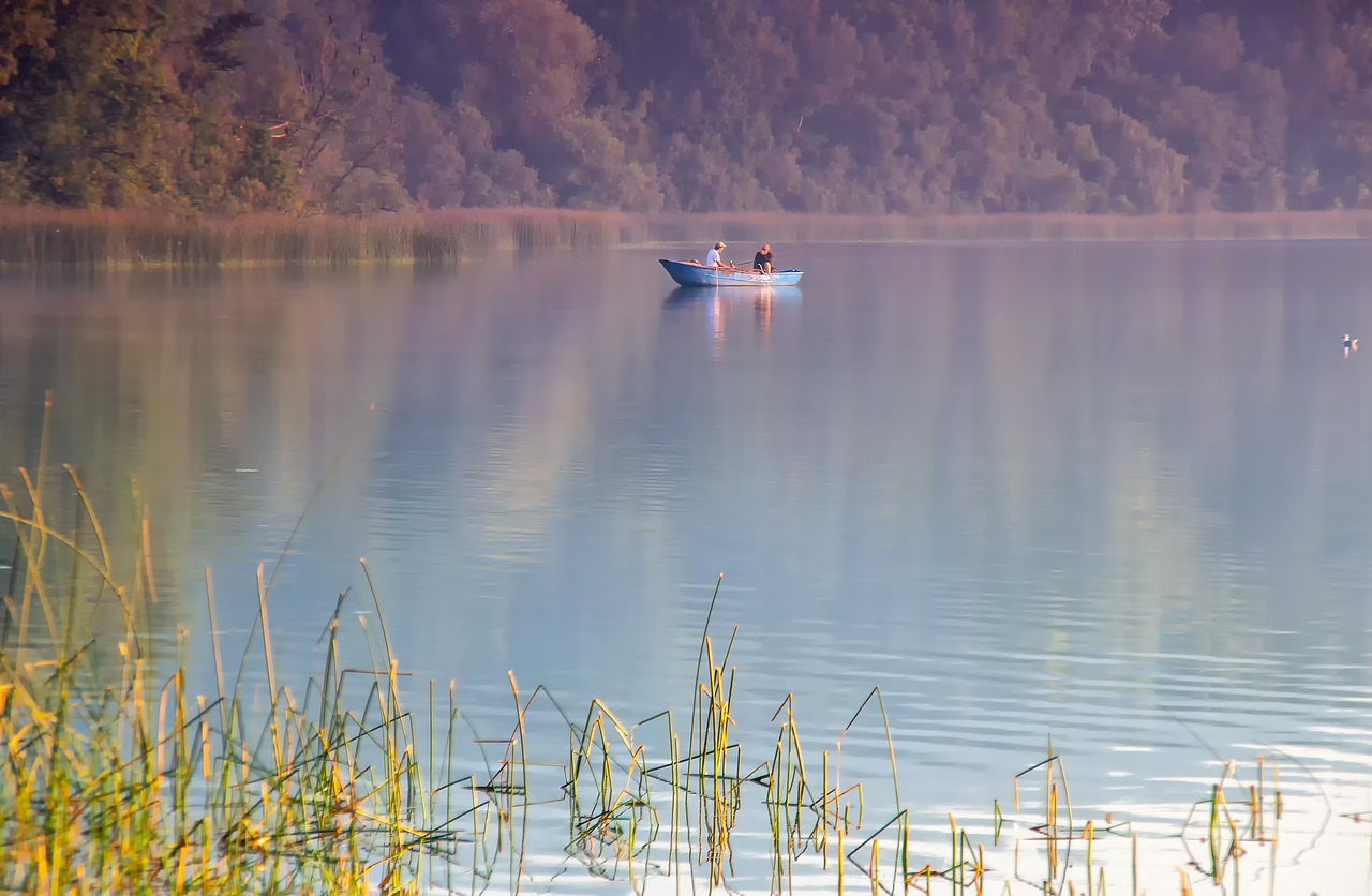 waters  reflection  lake free photo