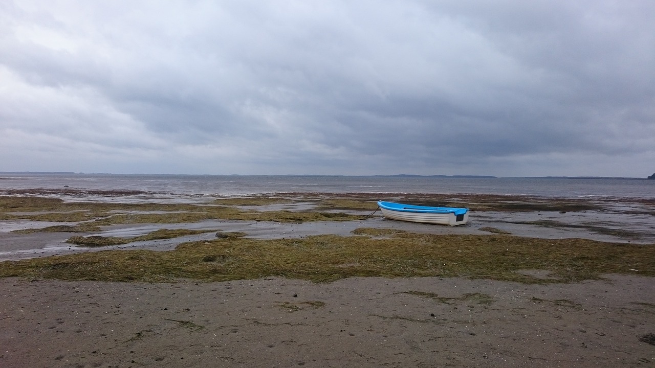 waters  beach  sea free photo