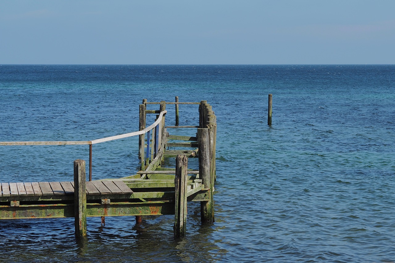 waters  sea  ocean free photo