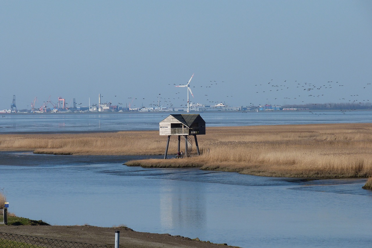 waters  sea  coast free photo