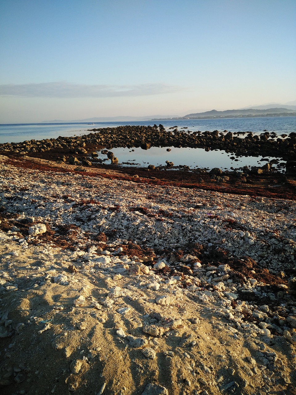 waterscape beach tropical free photo