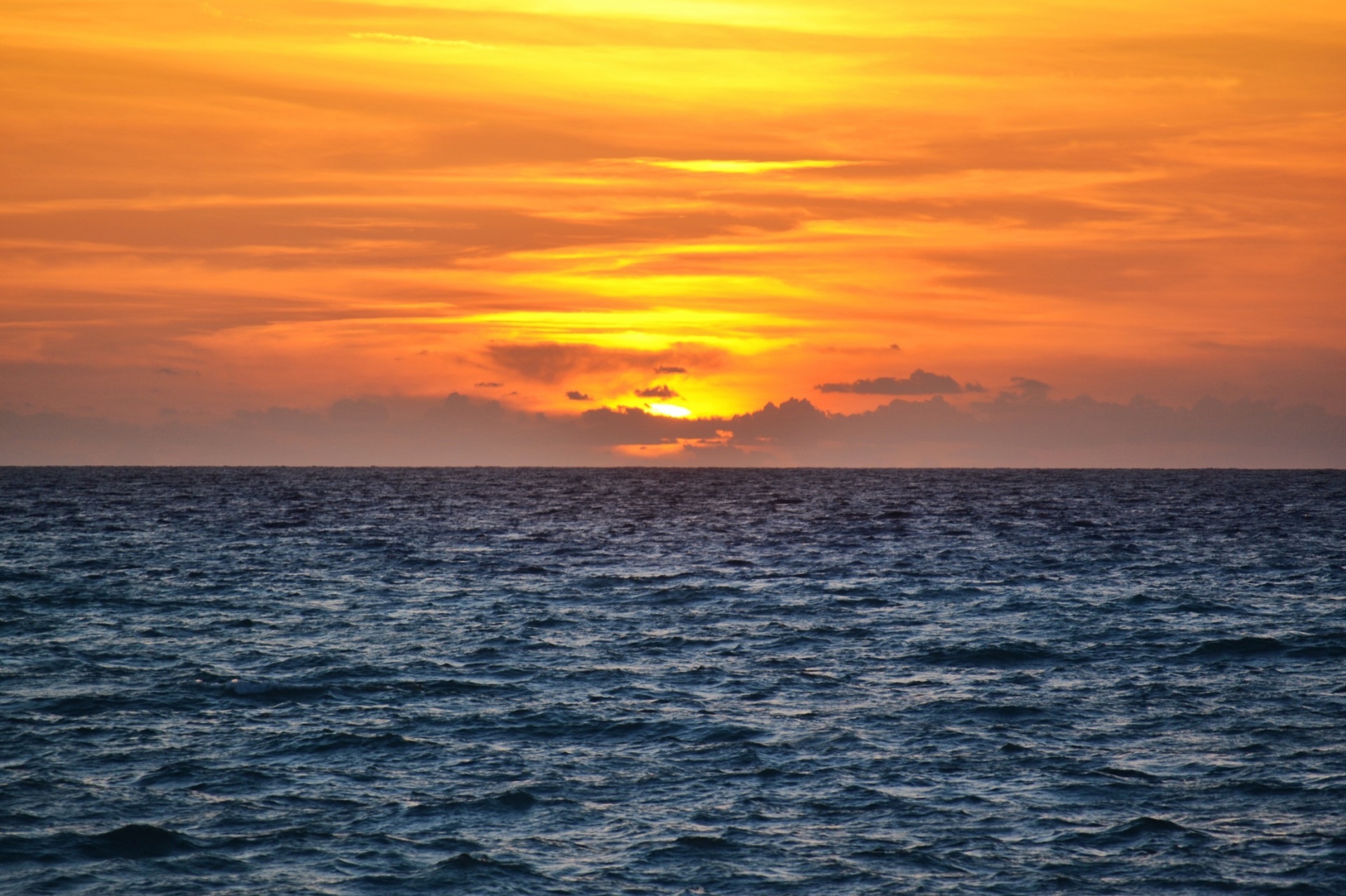 sunset water ocean free photo