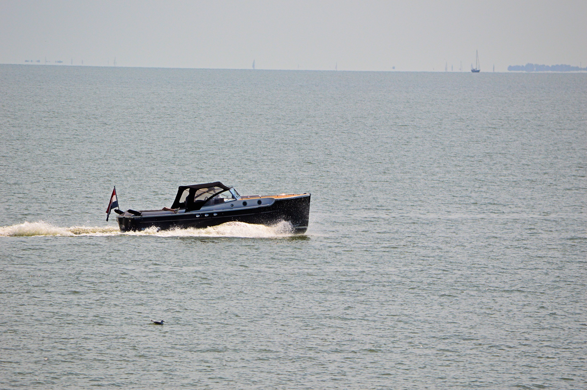 watersport water boat free photo