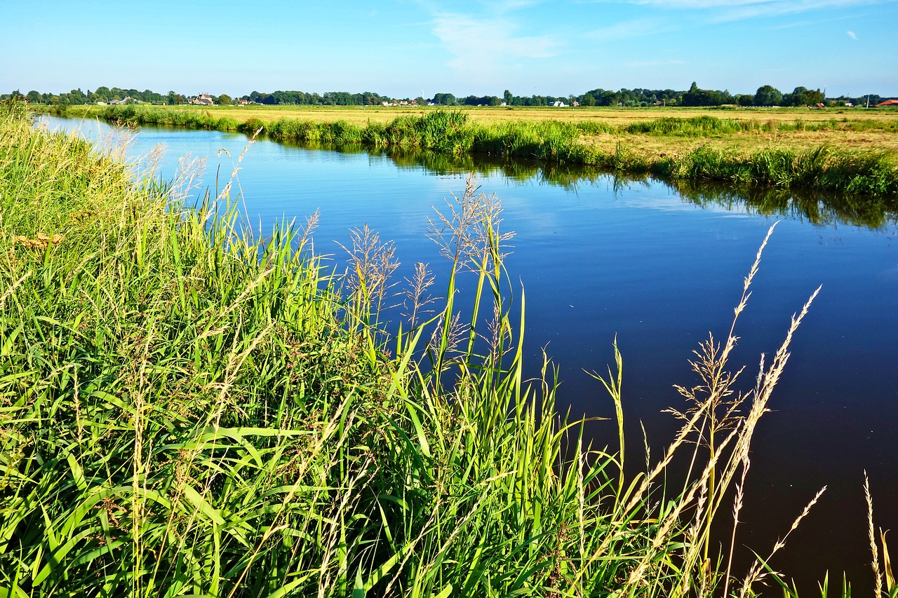 waterway grassy banks meadows free photo