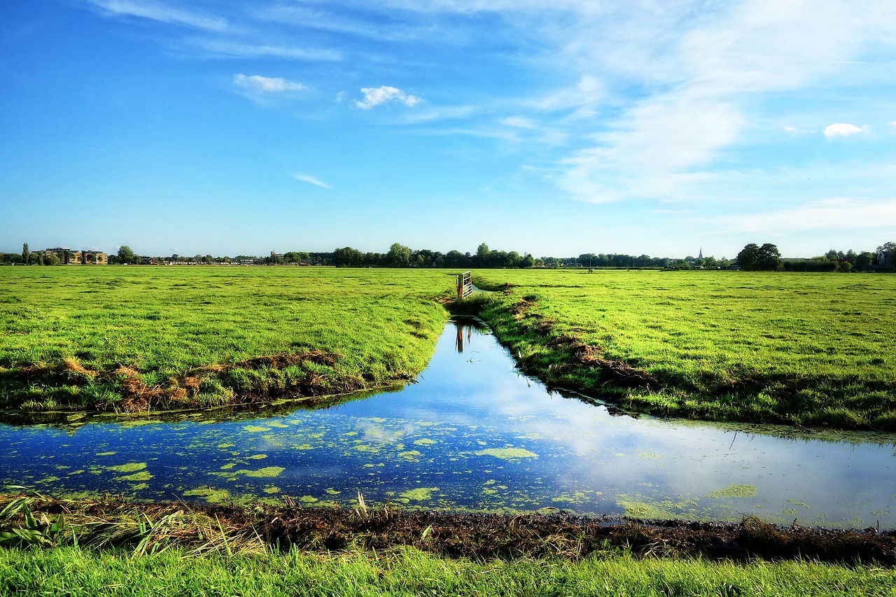 waterway grassy banks meadows free photo