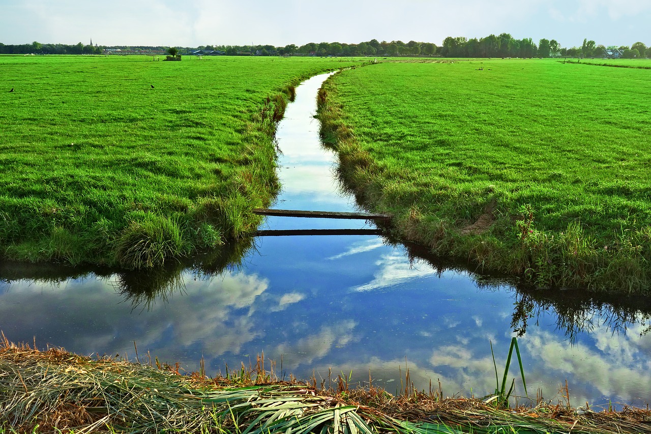 waterway grassy banks meadows free photo