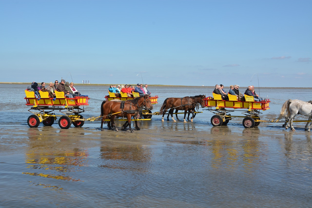 watt drive holiday cuxhaven free photo