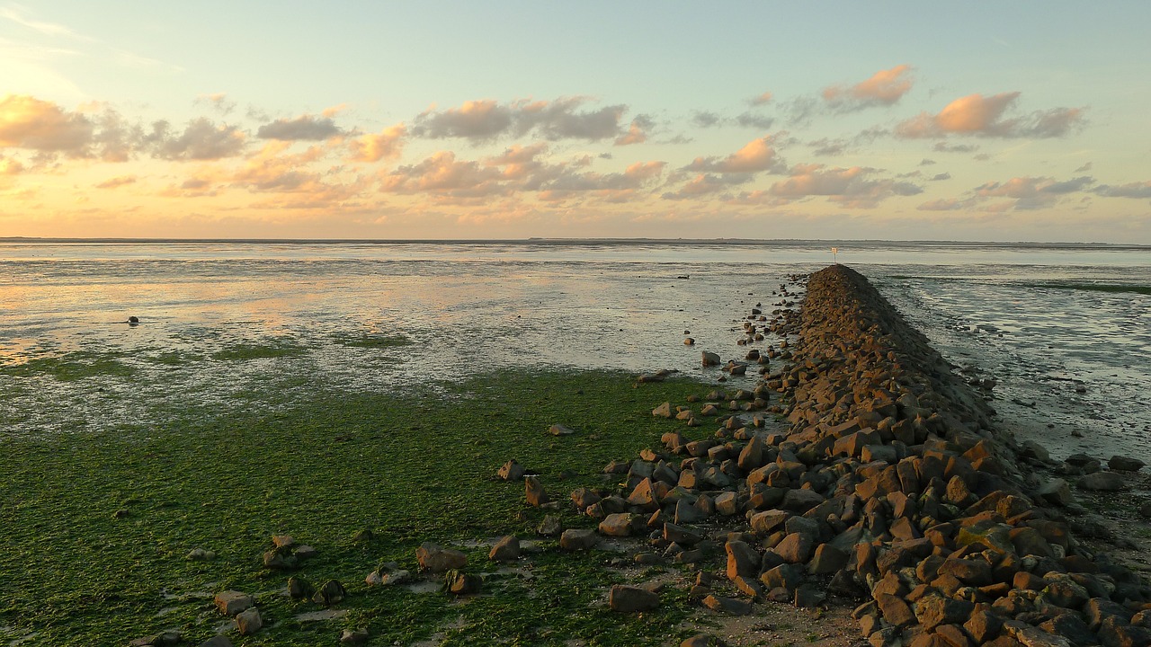 wattenmeer wadden sea neuharlingersiel free photo