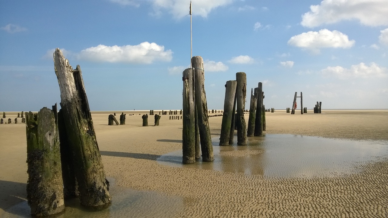 watts sand north sea free photo