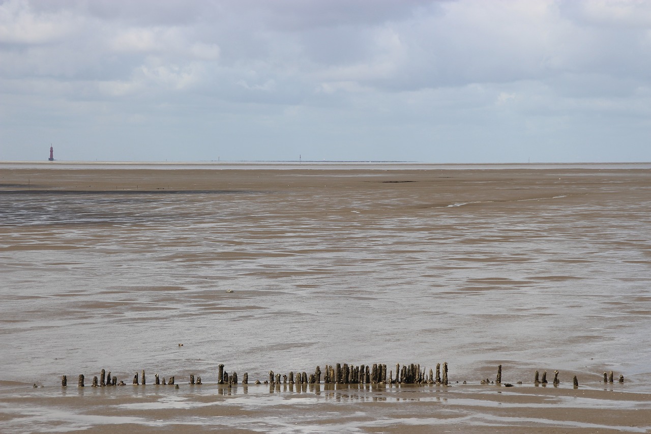 watts north sea wadden sea free photo