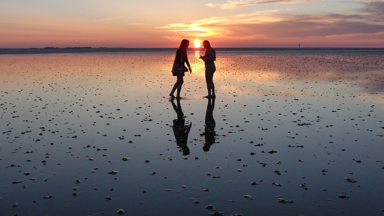 watts  evening  wadden sea free photo