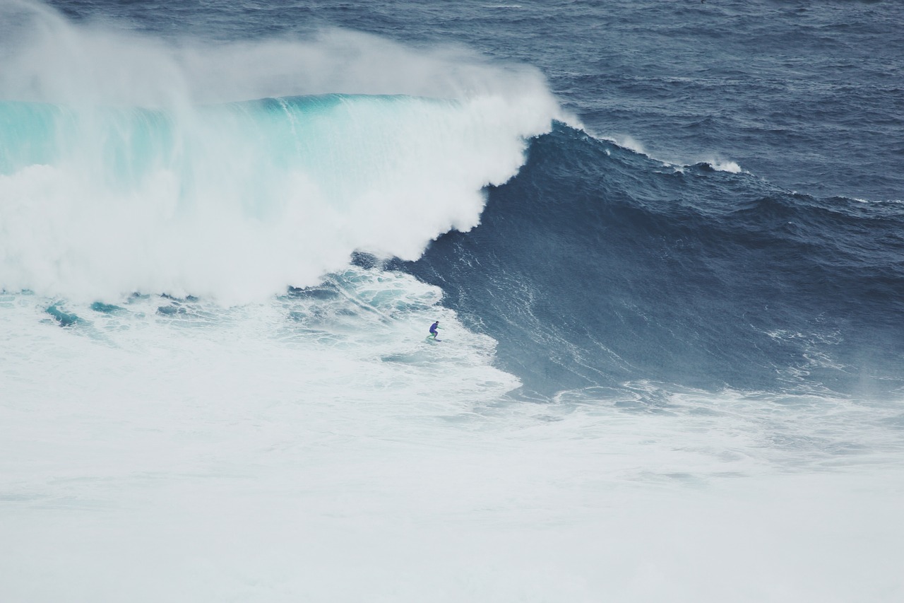 wave surfer ocean free photo