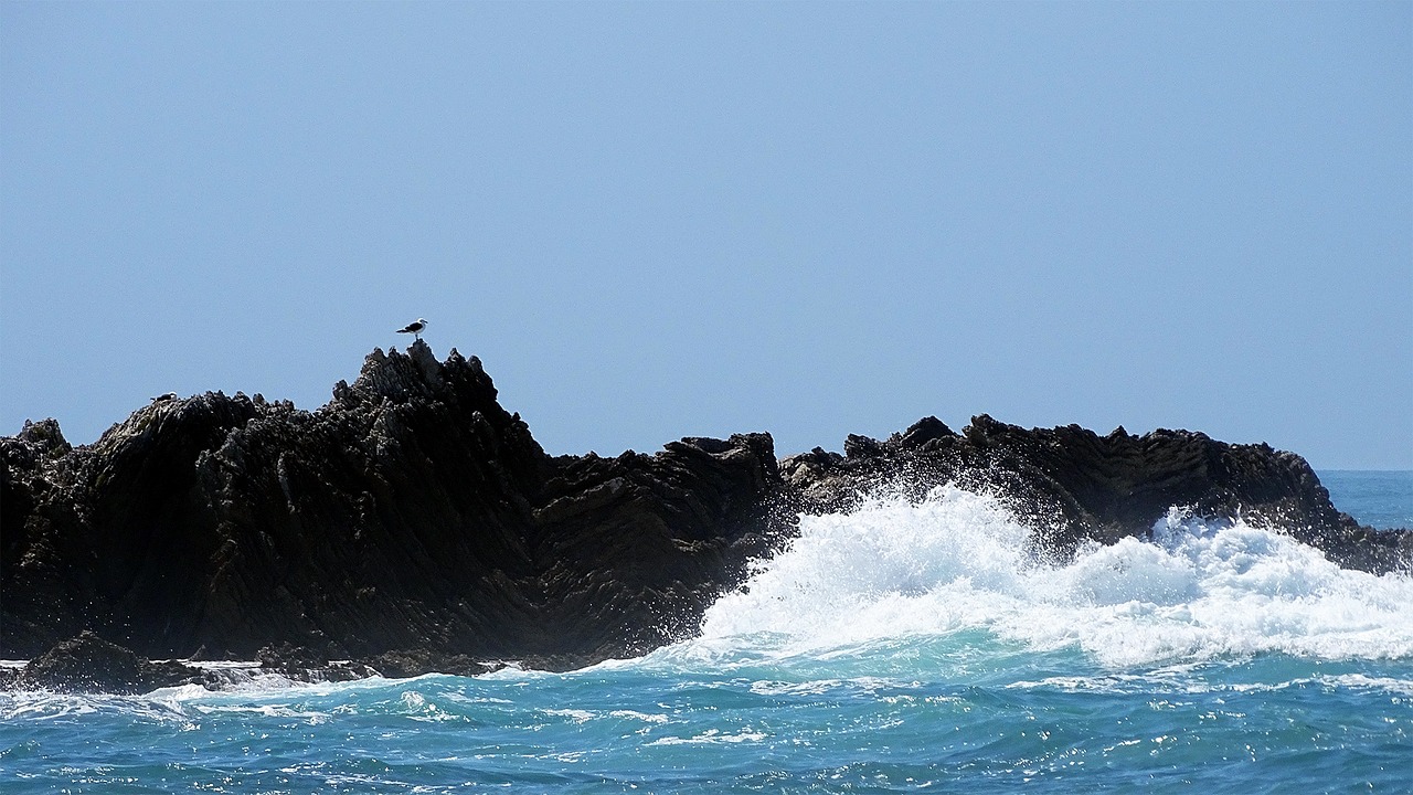 wave stone beach free photo