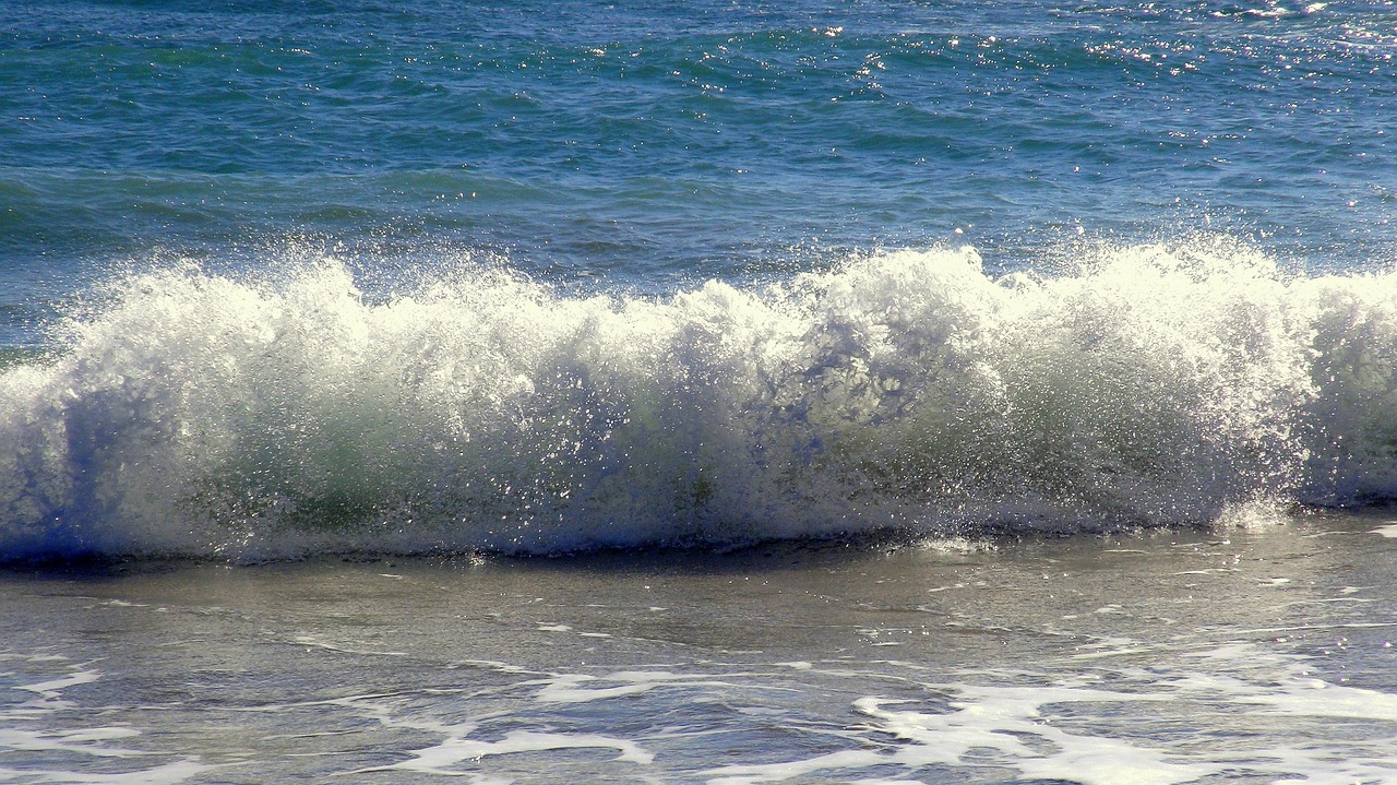 wave beach foam free photo