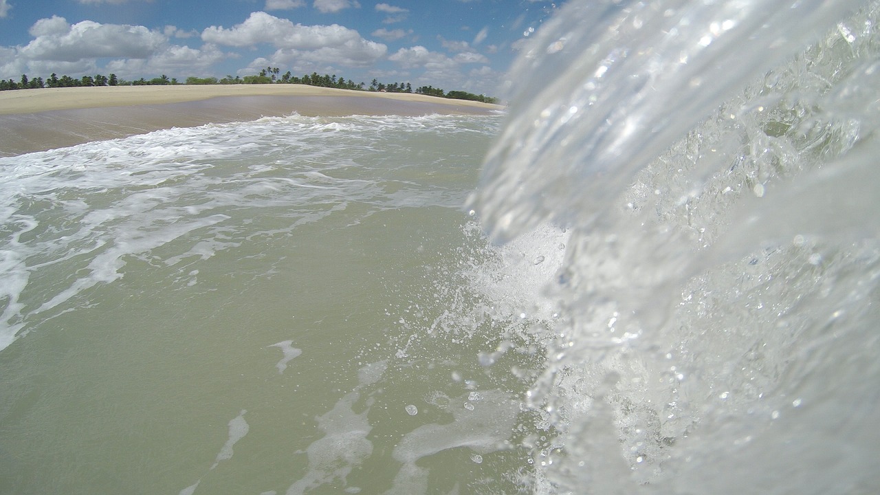 wave beach water free photo